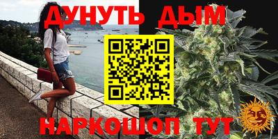 метадон Новозыбков