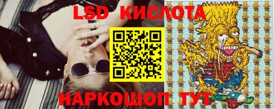 шишки Новокубанск