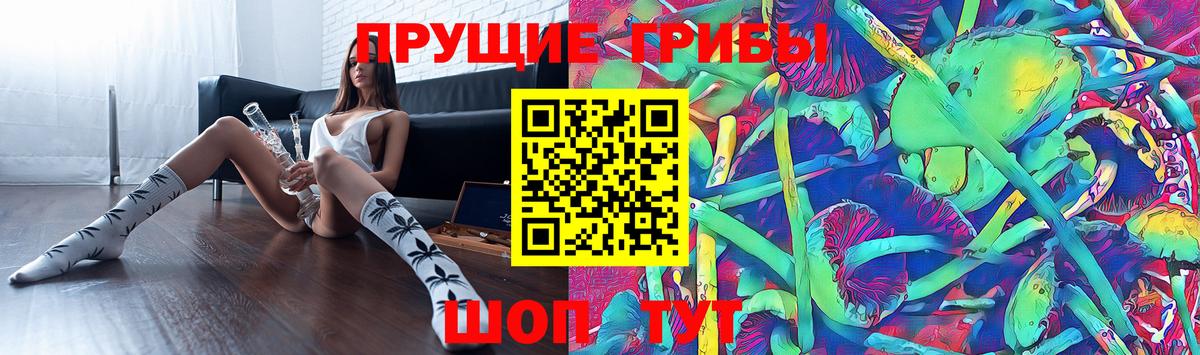 Галлюциногенные грибы Magic Shrooms Череповец