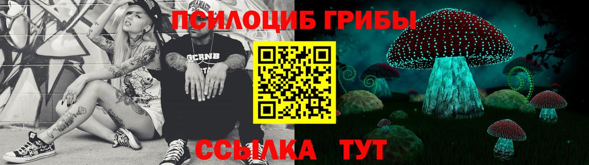 Череповец  Галлюциногенные грибы GOLDEN TEACHER  Вход с VPN 